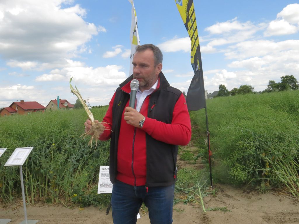 Saaten-Union Polska, Rapool Polska, DSV Polska, Spytkówki, rejestracja roślin