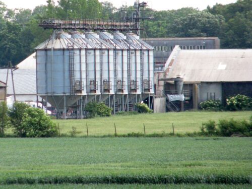 OT Logistic, port gdański, terminal zbożowo-paszowy