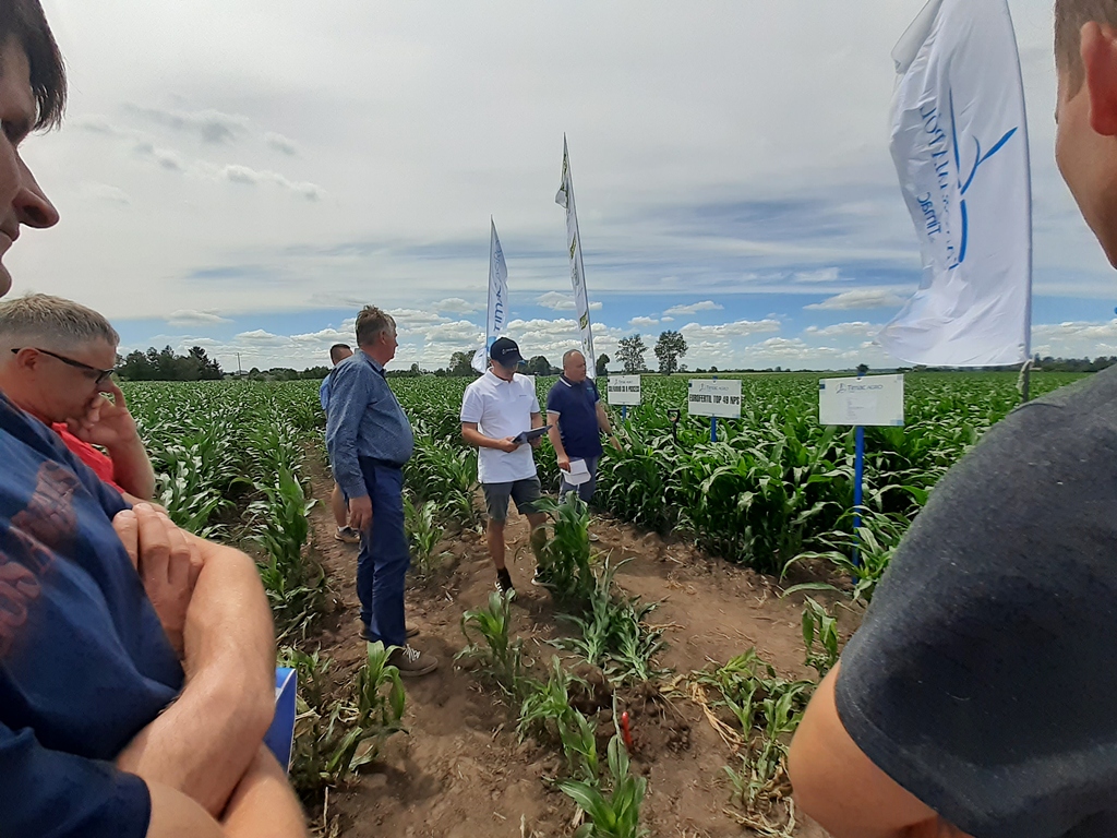 Panoramy Pól TimacAgro, Ślipcze, powiat hrubieszowski, Marcin Wieremczuk