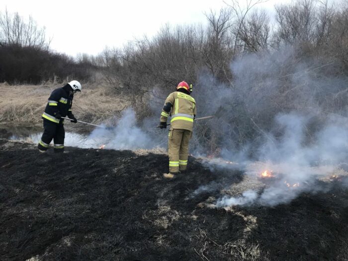 kary za wypalanie traw, ministerstwo klimatu i środowiska, przestępstwa przeciwko środowisku