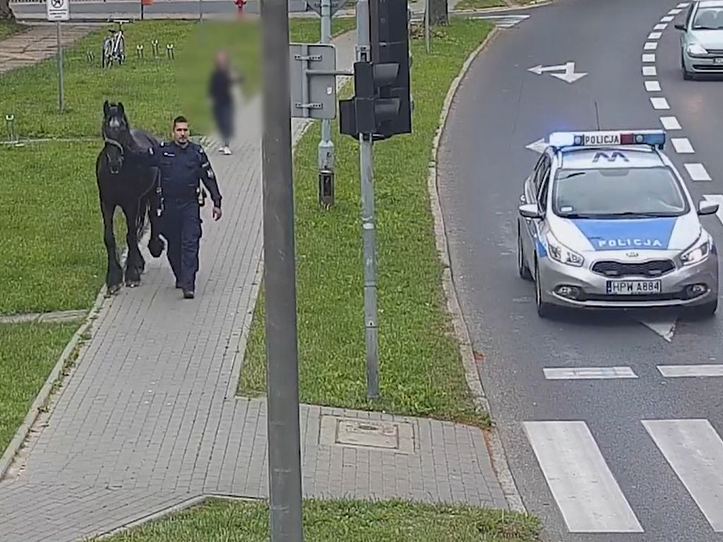 koń na ulicach miastach, Szczecinek, Anna Matys, KPP Szczecinek