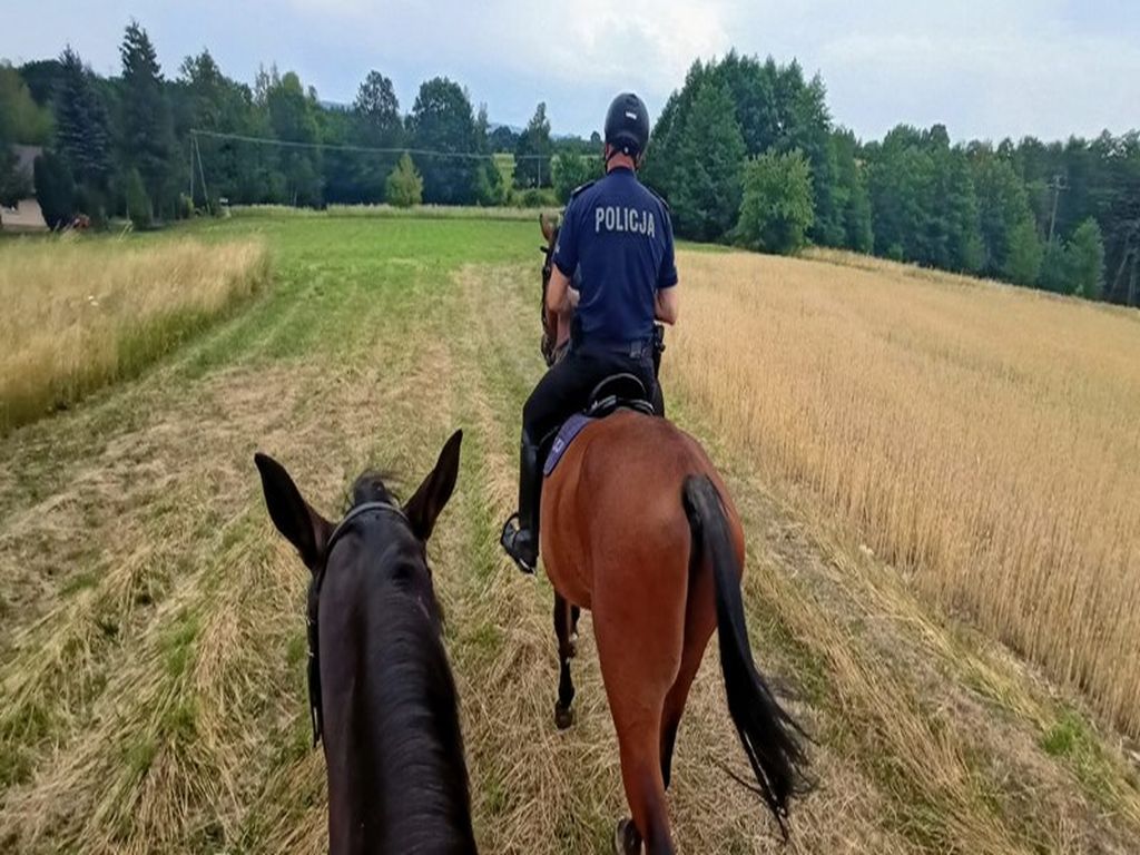patrole konne na polach, powiat krośnieński, dewastowanie upraw, KMP Krosno