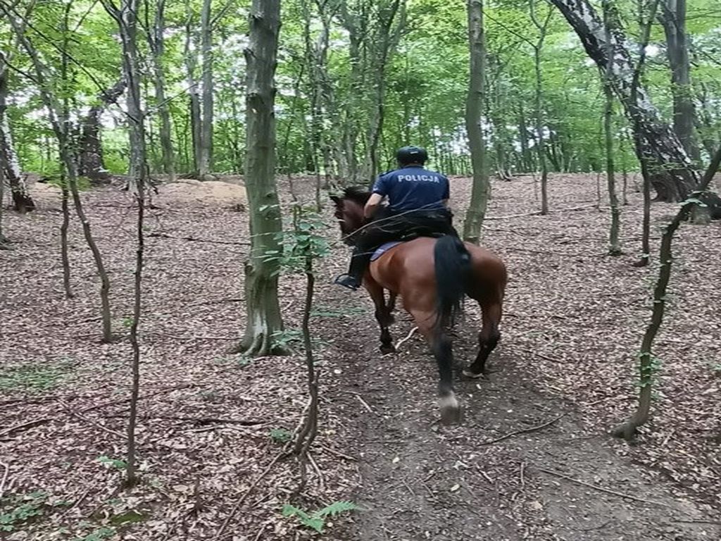 patrole konne na polach, powiat krośnieński, dewastowanie upraw, KMP Krosno
