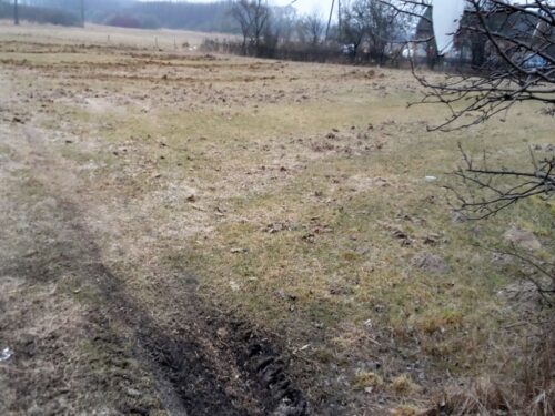 szkody łowieckie, szacowanie strat w uprawach, Edward Siarka, prawo łowieckie, koła łowieckie