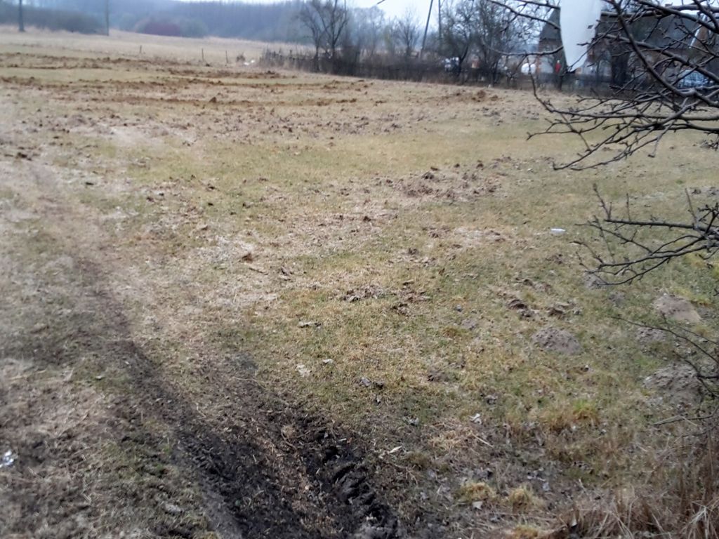szkody łowieckie, szacowanie strat w uprawach, Edward Siarka, prawo łowieckie, koła łowieckie