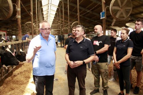 racice, zdrowotność nóg, szkolenie PFHBiPM, korekcja racic, kwasica, krowy mleczne, ruch krów,