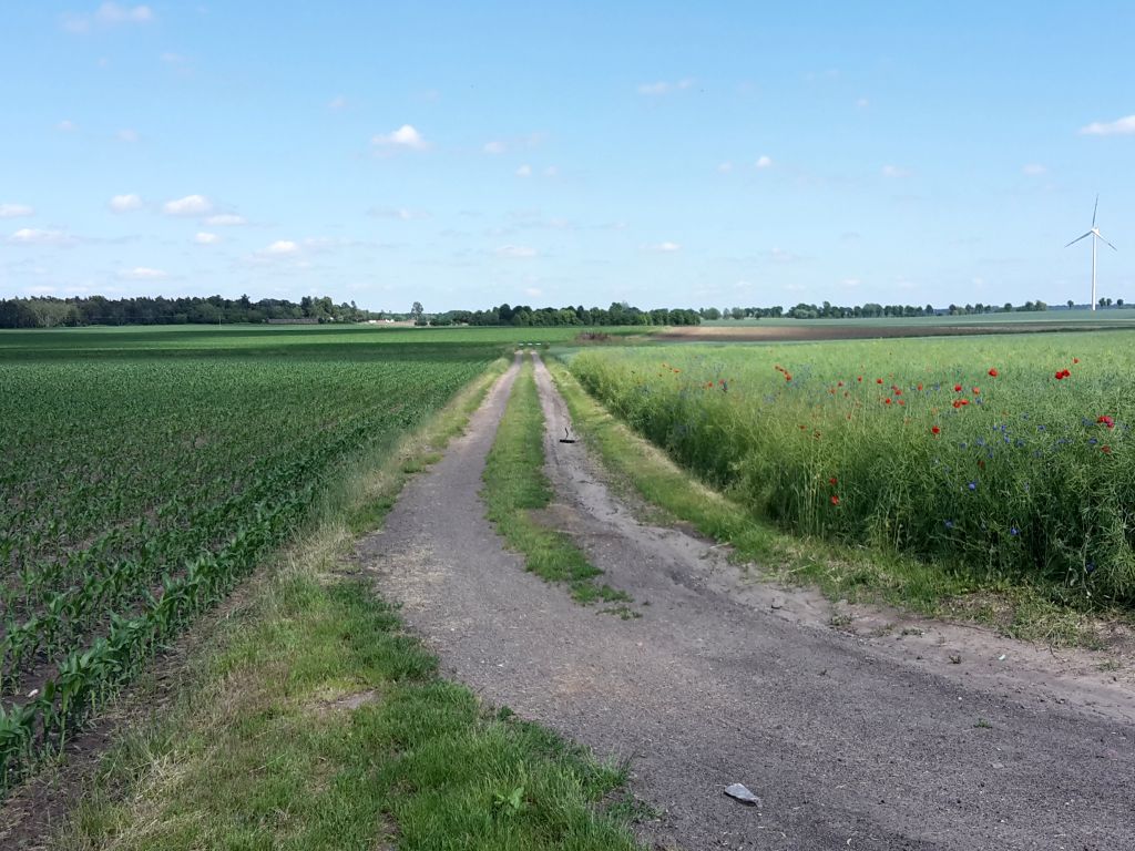 scalanie gruntów rolnych, Andrzej Duda, postępowanie scaleniowe, księgi wieczyste