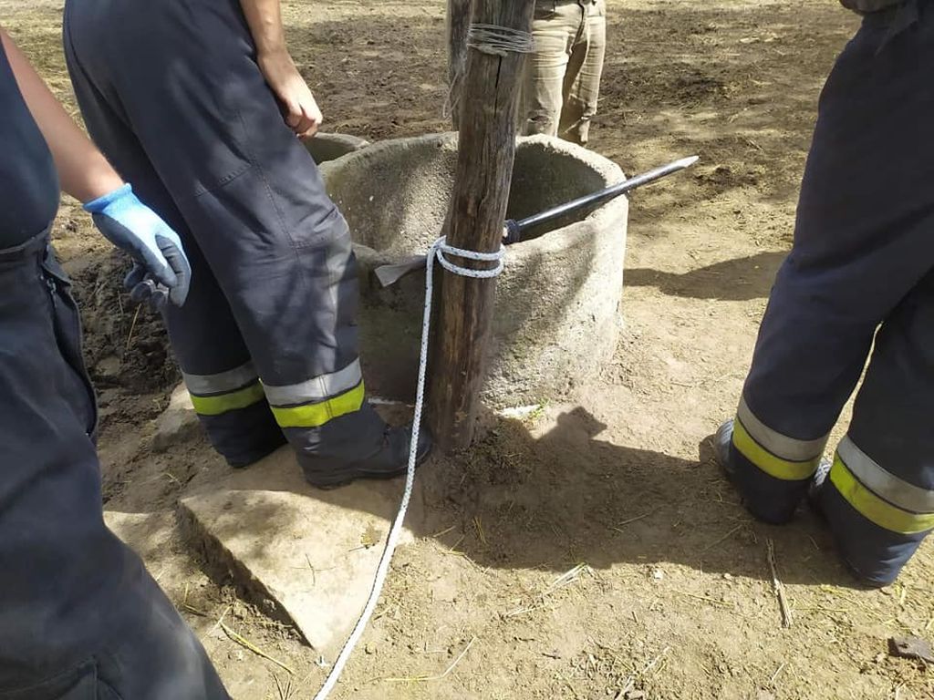 byk wpadł do studni, Sroków, powiat radomszczański, hodowla bydła
