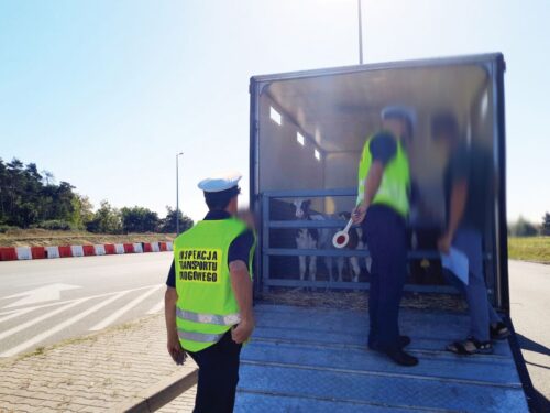 transport zwierząt, Inspekcja Transportu Drogowego,  Inspekcja Weterynaryjna