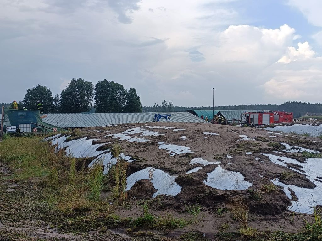 łążek, zawalony dach, krowy