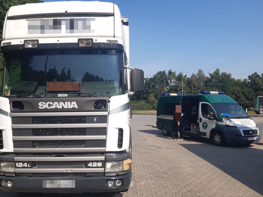 transport byków, autostrada A4, WITD Katowice, lekarz weterynarii
