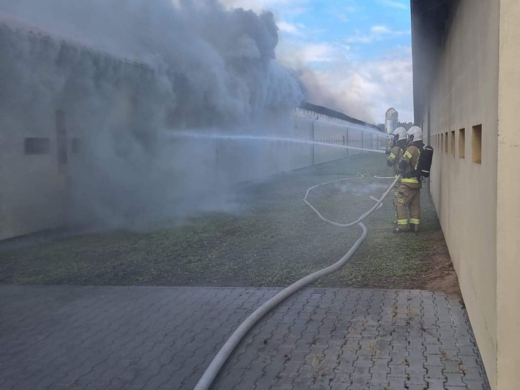 pożar kurnika, Młyny, zawalił się dach kurnika, KP PSP w Mogilnie