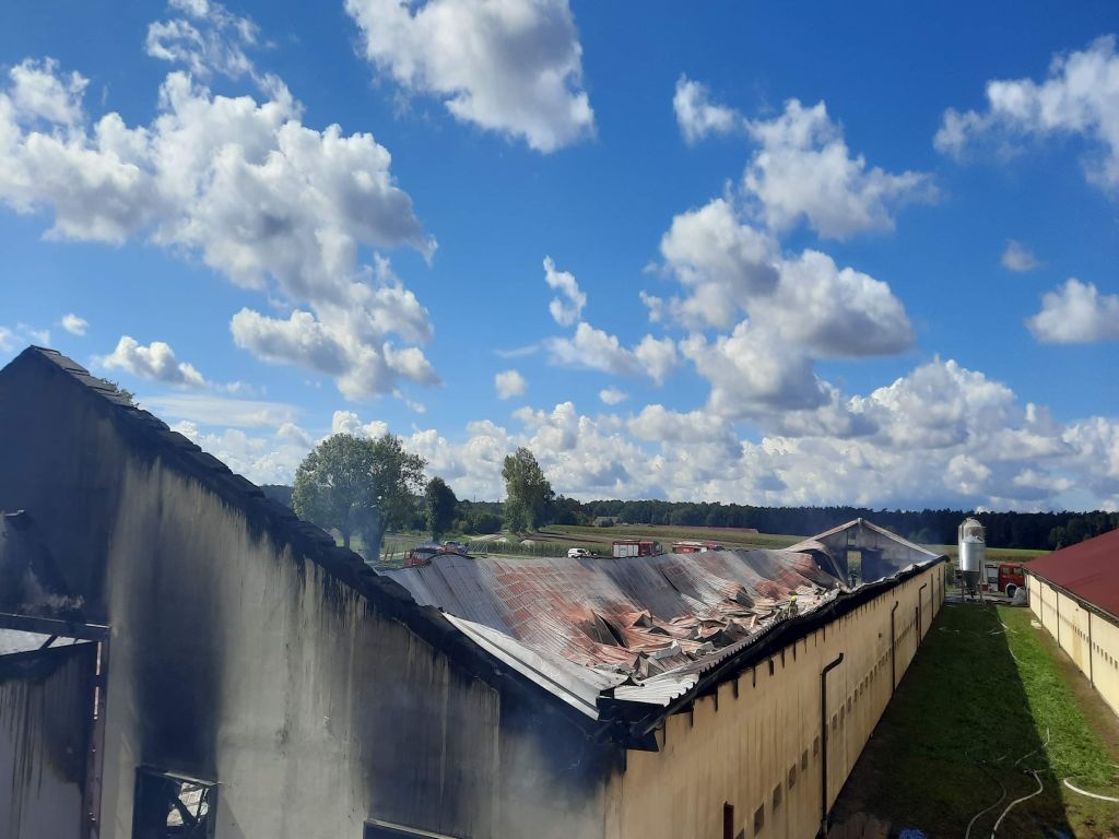 pożar kurnika, Młyny, zawalił się dach kurnika, KP PSP w Mogilnie