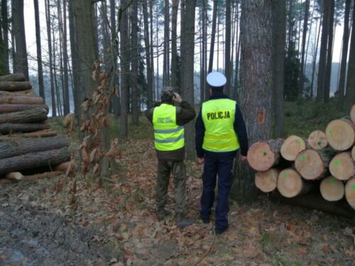 kradzieże drewna, Rząśnik, gmina Pielgrzymka, Połoń