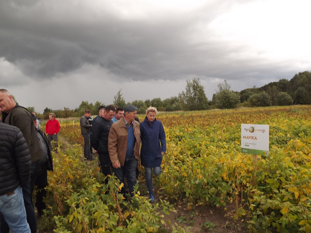 Agroyoumis, Nataliia Sibirtseva, uprawa soi, słonecznik, Strzałkowo, powiat radomski