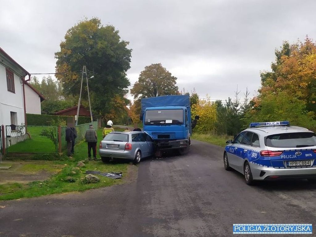 transport bydła, Twardocice, powiat złotoryjski, Dominika Kwakszys