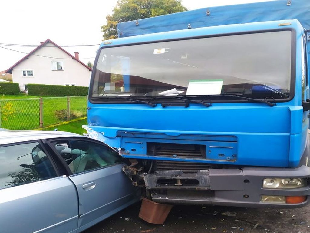 transport bydła, Twardocice, powiat złotoryjski, Dominika Kwakszys