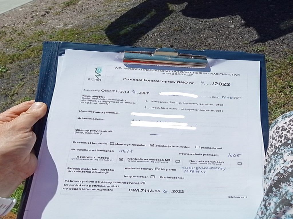 Uprawy sprawdzane pod kątem GMO, WIORiN Bydgoszcz, kukurydza, rzepak, soja