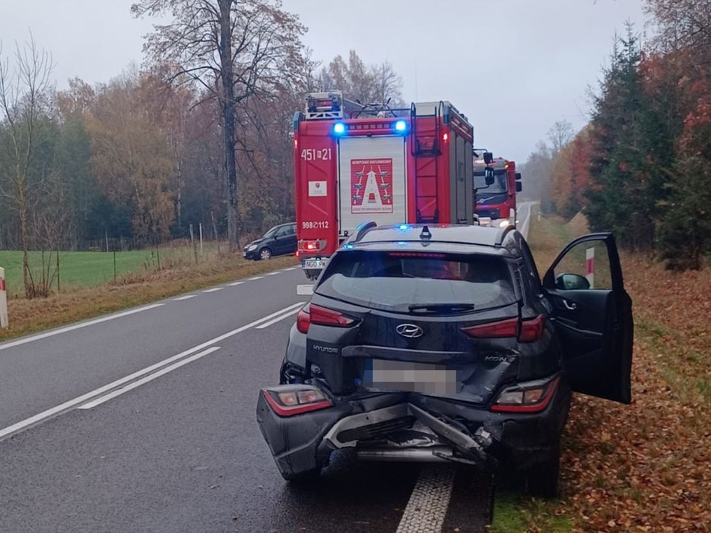 krowa wbiegła na drogę, Kozaki, Regiele, KWP Olsztyn