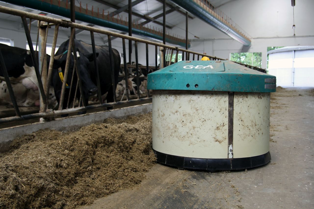 krowy mleczne, cielęta, robot udojowy, robot do podgarniania paszy, Gea Farm Technologies, PMR, rękaw wentylacyjny