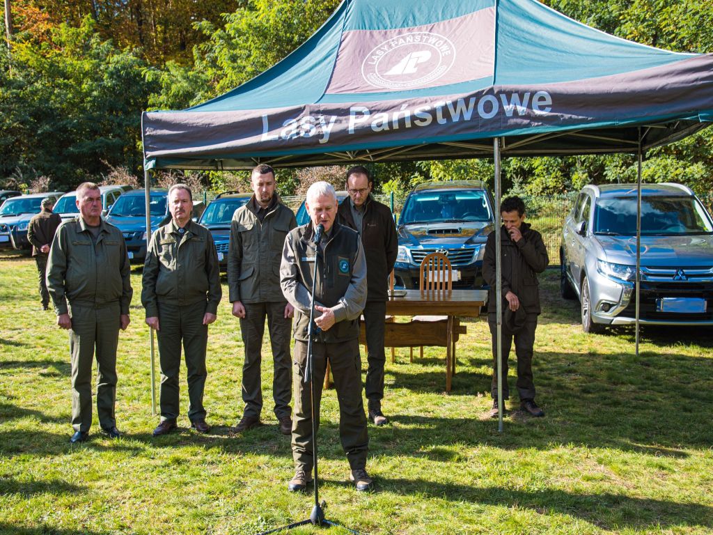 wozy dla ukrainy, lasy państwowe