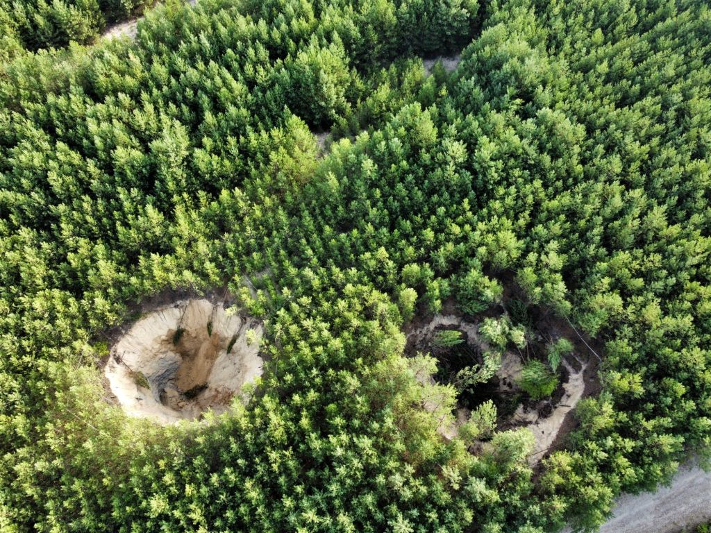 zapadliska w lesie, Nadleśnictwo Olkusz, Lasy Państwowe,