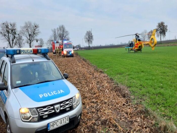 wycinka drzewa na polu, gmina Radziejów, KPP Radziejów, Marcin Krasucki
