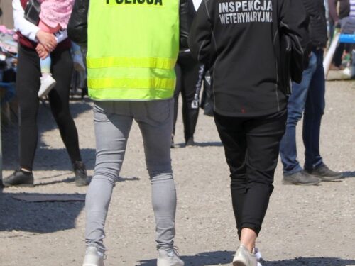 Inspekcja Weterynaryjna, Komitet Protestacyjny Porozumienia Warszawskiego, Henryk Kowalczyk