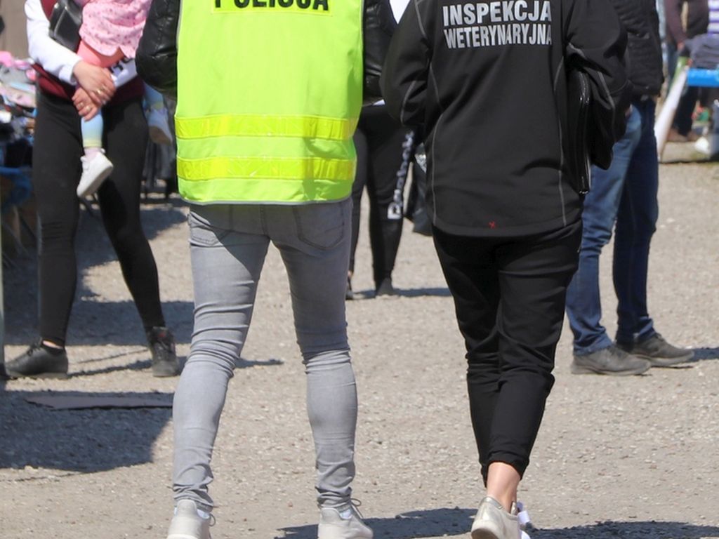 Inspekcja Weterynaryjna, Komitet Protestacyjny Porozumienia Warszawskiego, Henryk Kowalczyk