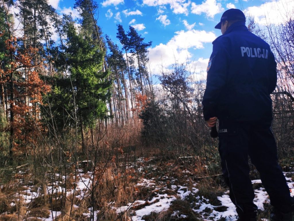 myśliwy zastrzelił łosie, Grądy-Woniecko, powiat zambrowski, Tomasz Krupa