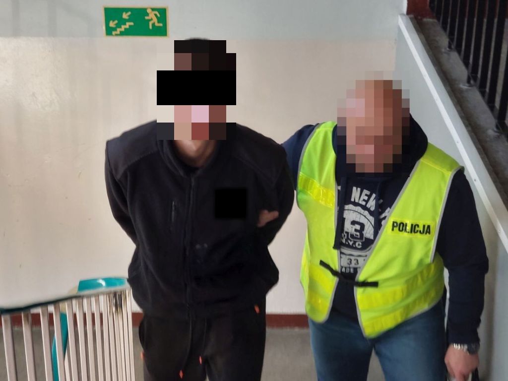 podpalenia domów i stodoły, powiat chełmski, OSP, Ewa Czyż, KMP Chełm