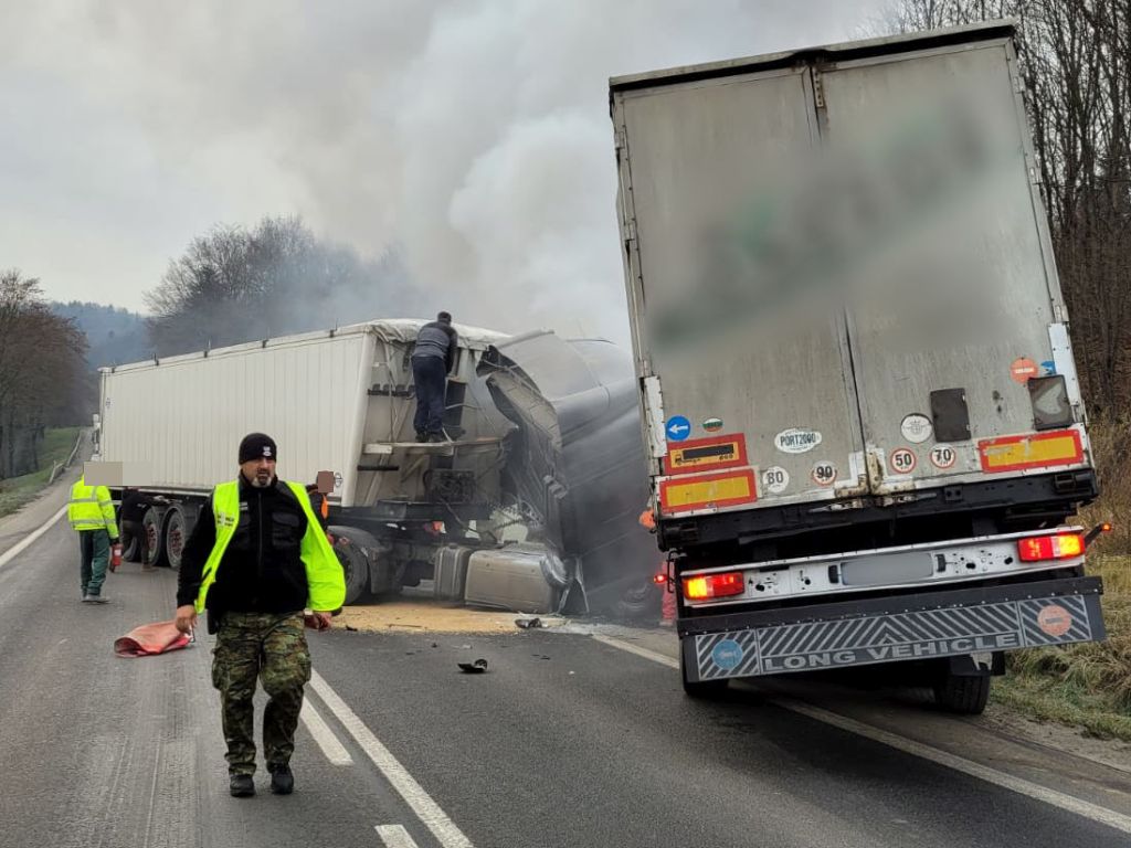 Albigowa, powiat łańcucki, port w Gdyni, transport drewna, transport zboża