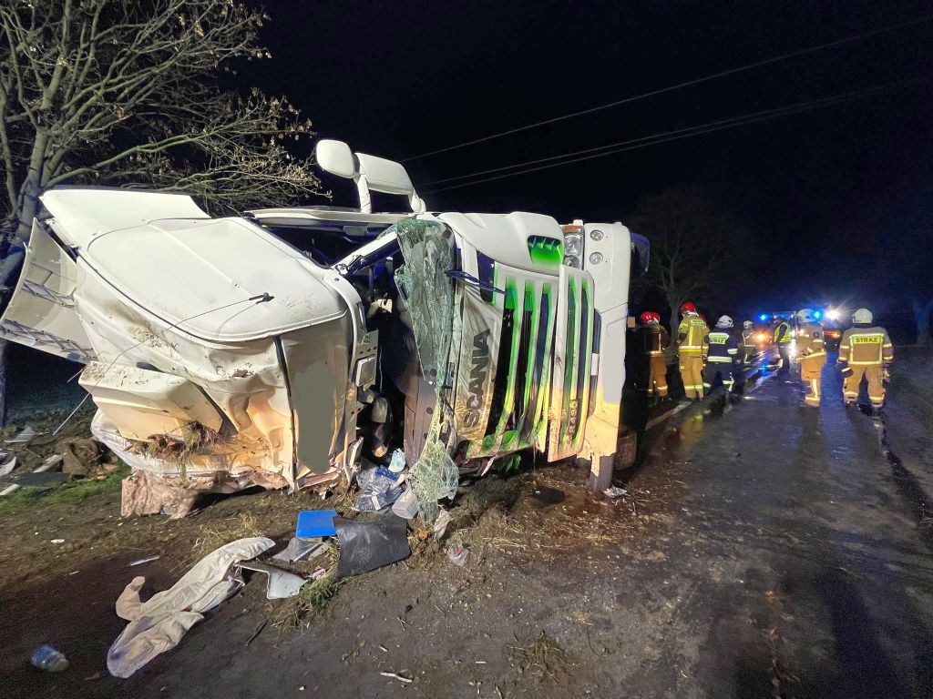 Półtusze wieprzowe na drodze, Kłecko Kolonia, KP PSP Gniezno,  OSP w Kłecku
