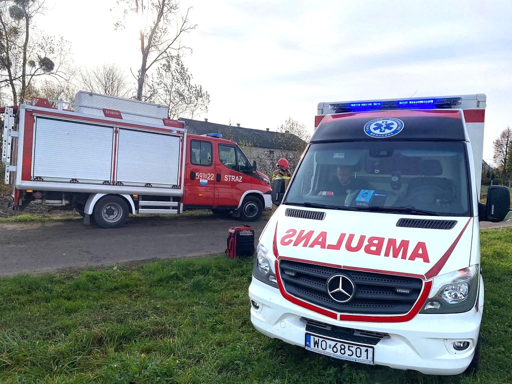 wypadek przy wycince drzew, Filipy, powiat przasnyski, KP PSP Przasnysz