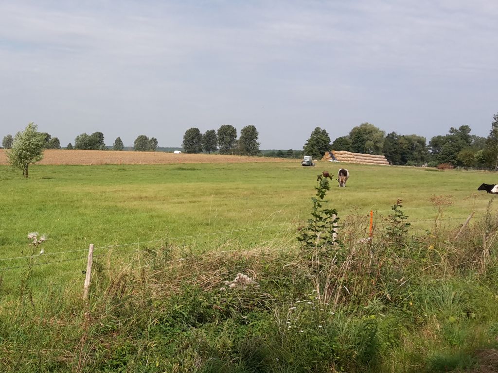 nawożenie, NIK, raport, gleba, uprawa, badanie gleby