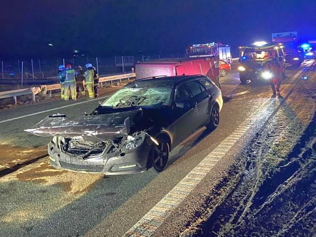 jaja wypadły na drogę, Górki Szczukowskie, Małgorzata Perkowska-Kiepas, KM PSP Kielce