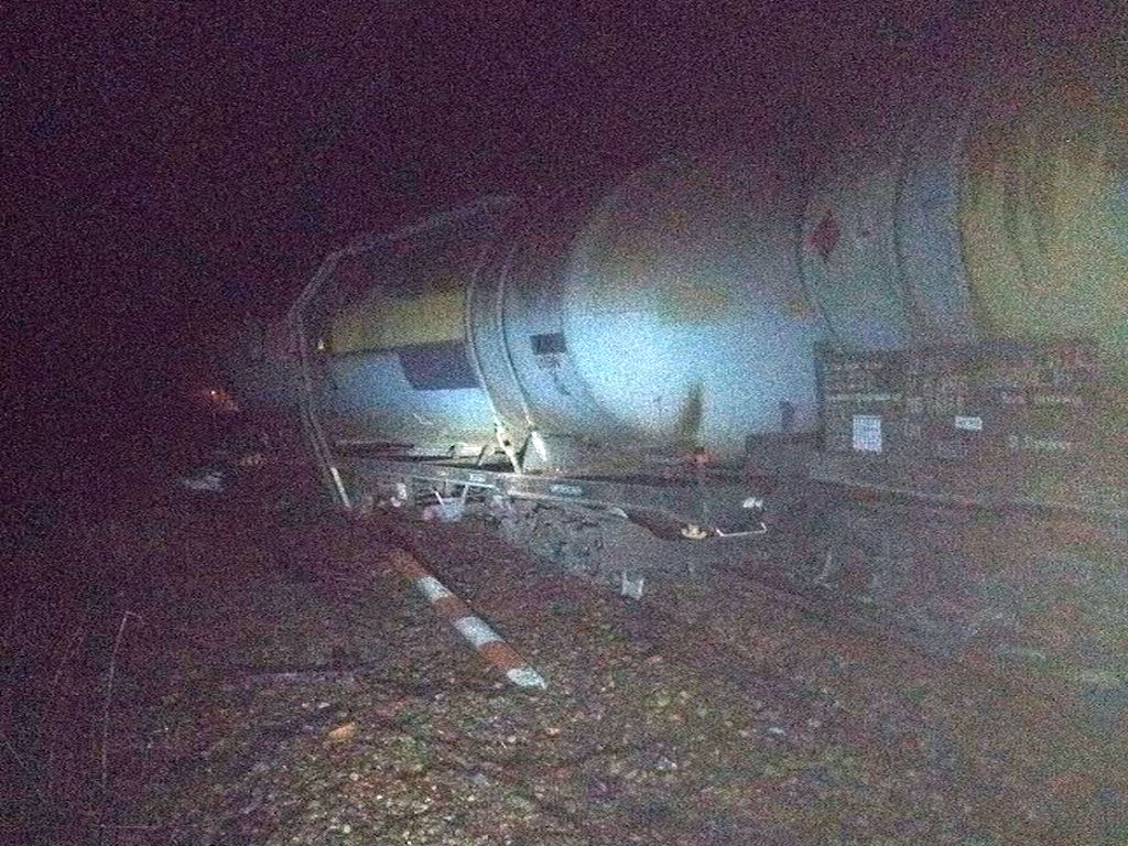 zderzenia z dzikimi zwierzątami, Bielsk Podlaski , Czeremcha, Marcin Sawicki