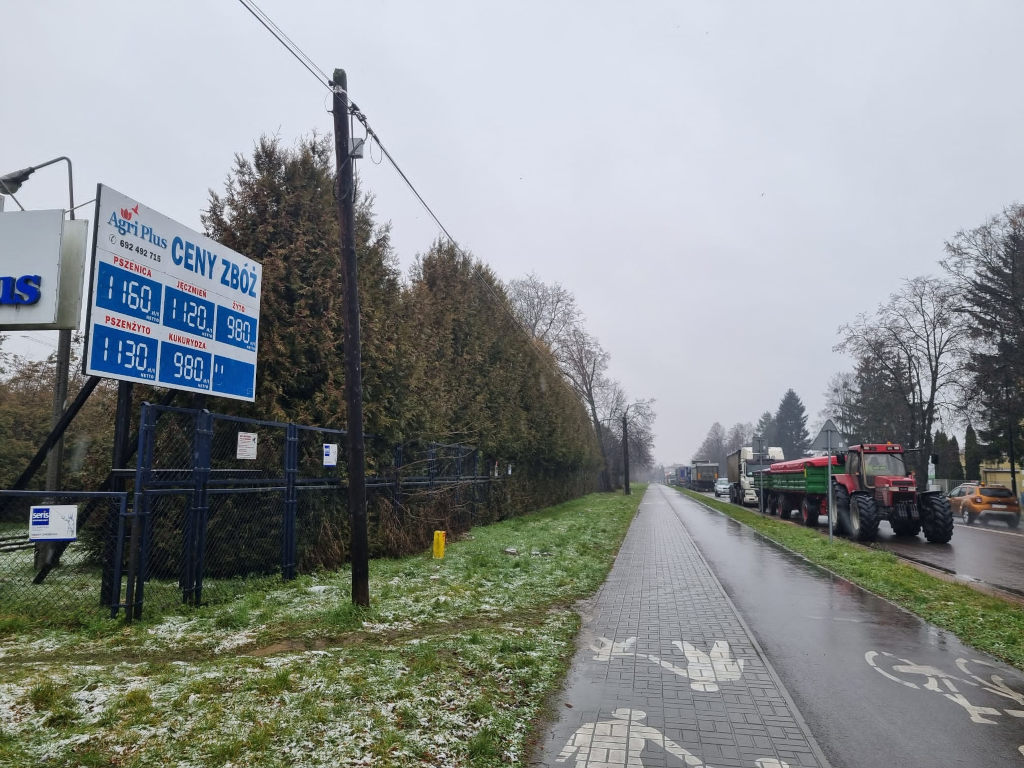 Zamość, cennik skupu zbóż