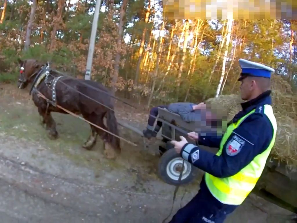 pijany woźnica, powiat ostrowiecki, policja świętokrzyska