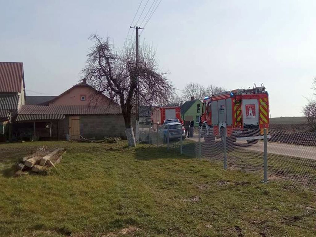 atak byka w gospodarstwie, Nowa Zawada, powiat włocławski,