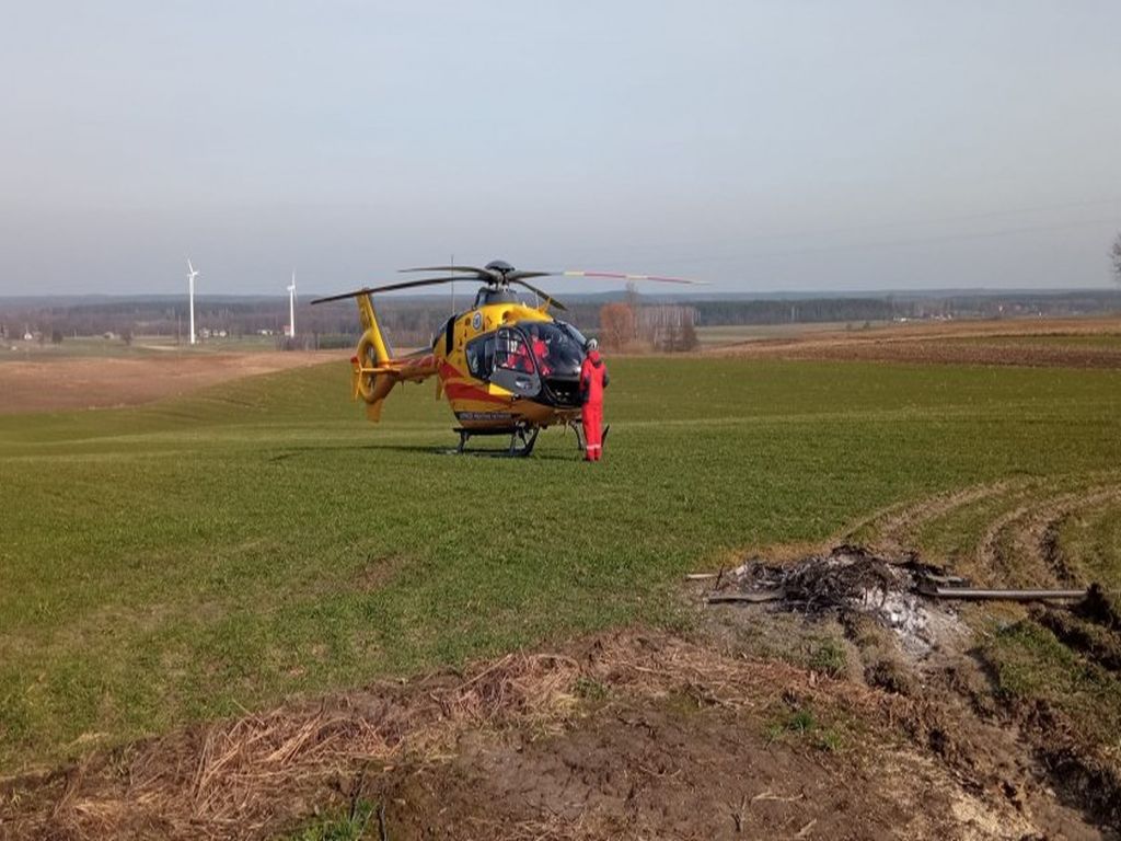 atak byka w gospodarstwie, Nowa Zawada, powiat włocławski,