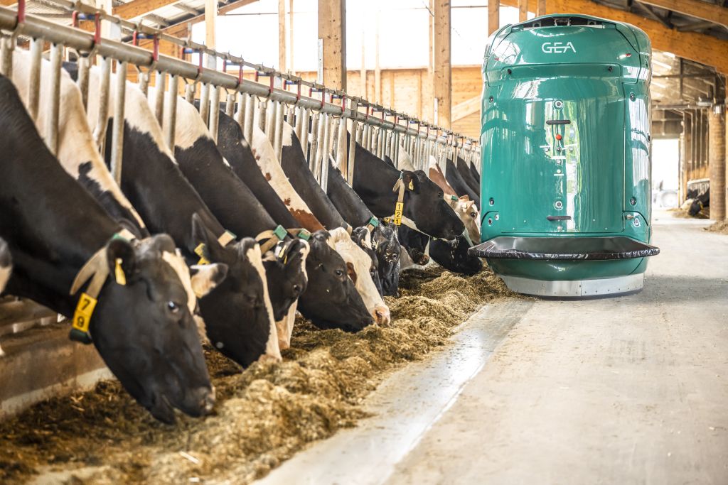 GEA Farm Technologies, szkolenie, robotyzacja, automatyczne żywienie bydła, automatyczny dój krów,