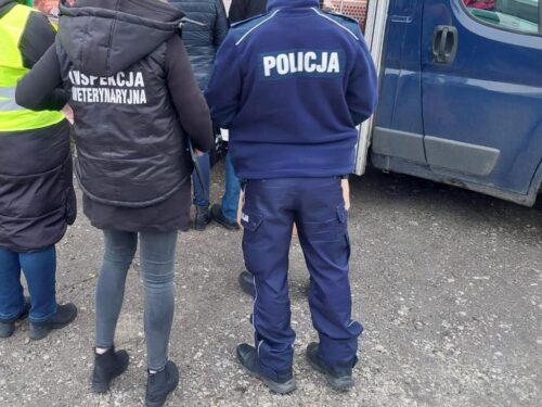 odbieranie rolnikom zwierząt, Marcin Wiącek, RPO, ochrona zwierząt, inspekcja weterynaryjna