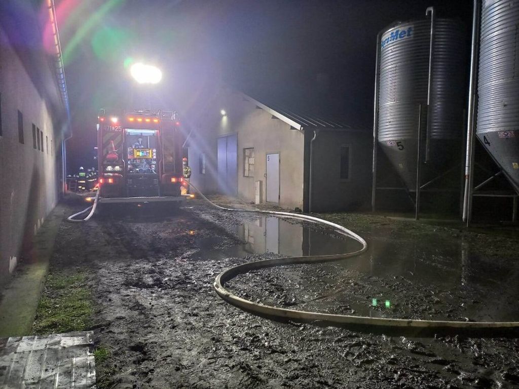pozar kurnika, Złotopole, powiat  lipnowski, KP PSP Lipno