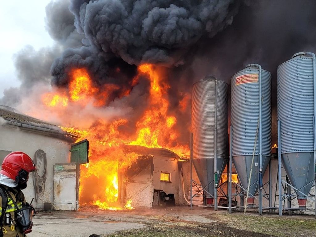 pożar kurnika, Baczyna, KM PSP Gorzów, pożary w gospodarstwach