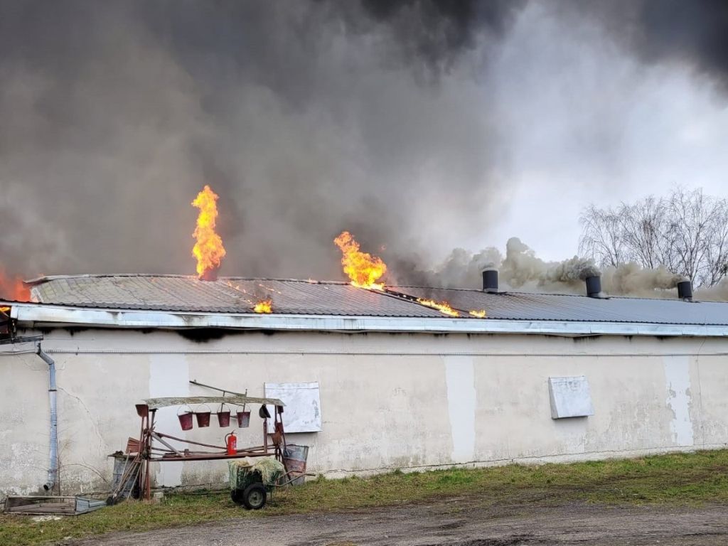 pożar kurnika, Baczyna, KM PSP Gorzów, pożary w gospodarstwach