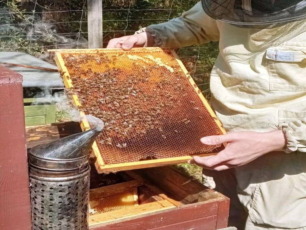 wsparcie dla pszczelarzy, pszczele rodziny, Janusz Kowalski