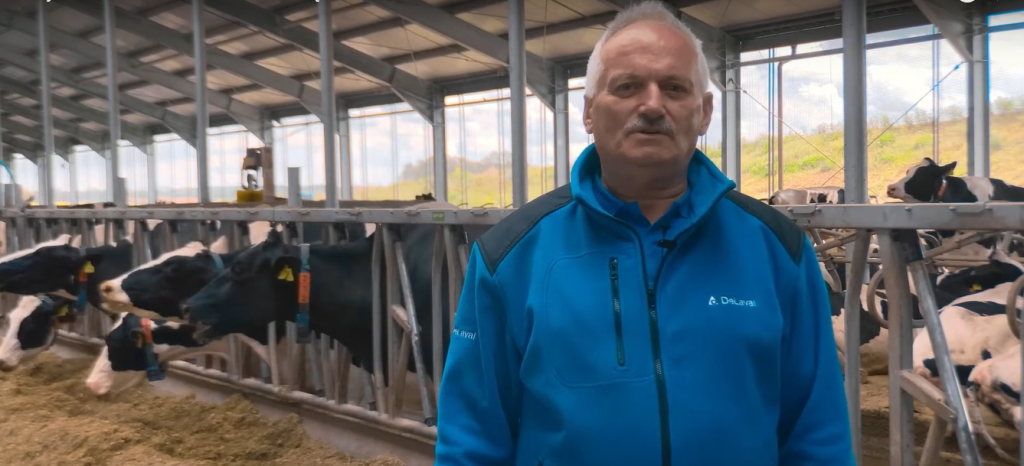 krowy mleczne, obora, karuzela, dój krów, robot do dippingu, DeLaval, legowiska, mastitis, dobrostan krów, dój krów
