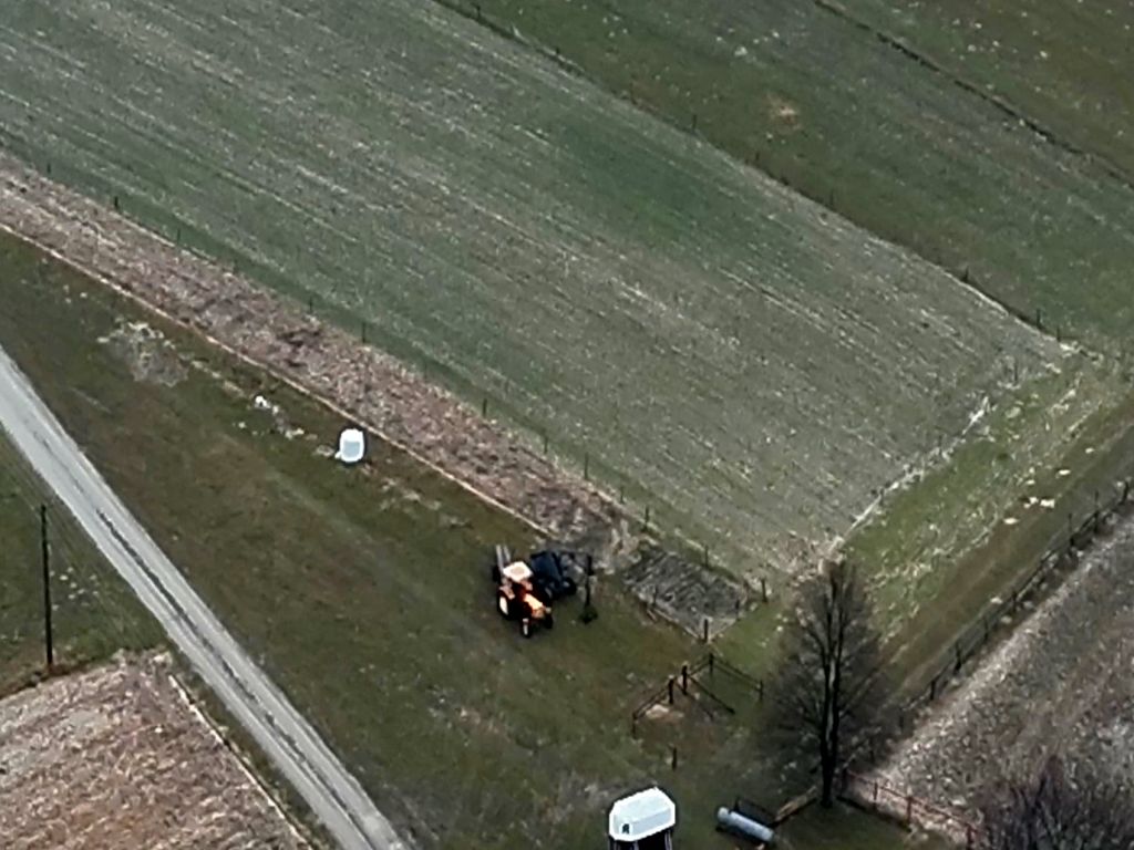 kradzież drewna, lasy państwowe, rdlp krosno, straż leśna