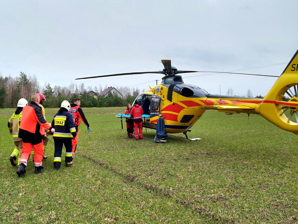 wypadek w lesie, prace leśne, olszewnica, powiat radzyński